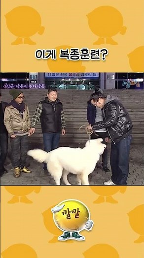 #shorts 상근이 아들 상돈이 복종훈련 | KBS 081123 방송