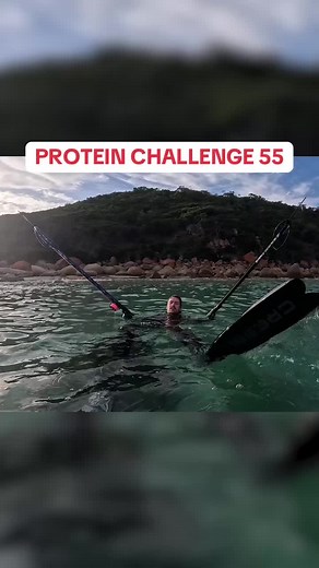 PROTEIN CHALLENGE 55‼️ Dreamy dive with Mr Miller off an island near Wilsons Prom 🏝️ Plenty of seals and protein make for a fun dive session 🦭 🤿 #seal #diving #spearfishing #mukbang #catchandcook #australia #fishing #abalone #fish #fishtok #fyp #foryou