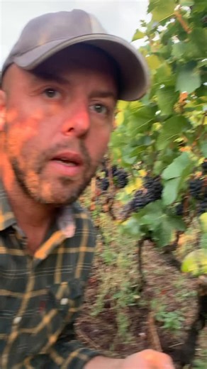 5.6K views · 497 reactions |  Pour assurer des débuts de...