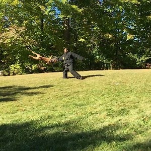 Power from the next level 󾌯󾌯󾌯 your arm coming off without the suit 󾍐󾍔󾍔󾌤 󾮖🏾󾮖🏾󾮖🏾󾮖🏾 "ace" filming for his video seen around the world! @theddklinefamily #ddkline #darkdynastyk9s #ddk9 #instagood #protectiondogs #hardhitting #power #k9 #worldfamous www.DarkDynastyK9s.com 󾮛🏾 @ddkline_apparel 󾮛🏾󾮛🏾󾮛🏾 | DarkDynastyK9s