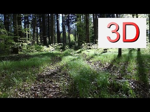 Ultra HD 3D Film: APRIL FOREST WALK (4K Resolution)