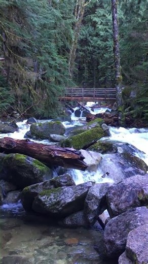 Roaring Cascades | Troubled Waters | Rainy Creek | North Bend, WA #nature #flood #river