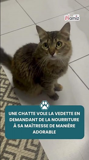 Look at Jade, this adorable little kitten! 🐈🥹