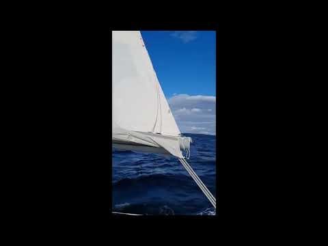 Dehler 34 Sailingboat for sale | Denmark | Scanboat