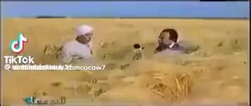 Everyday we keep realizing that Europeans never contributed anything meaningful to advance human civilization but stealing of already discovered/invented stuff from other progressive civilization.The plant improvement/tech they talk about were all already documented in stolen books from African libraries eg Library of Alexandria-egypt, Axumite Library-Ethiopia, Timbuktu library-Mali, Al-Qarawiyyin Library-Morocco, etc.