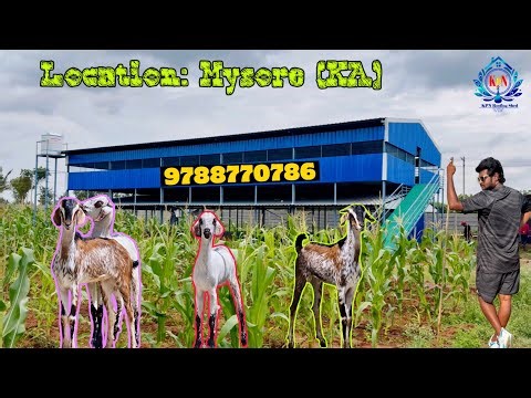 🐐 Modern Goat Farm Shed Design | Low Cost & High Profit Setup 9788770786 / 04312660786 #goat #sheep