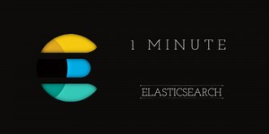 In One Minute : Elasticsearch