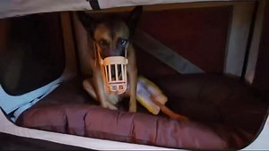 429K views · 10K reactions | ……Up Date , bitte hört auf die...