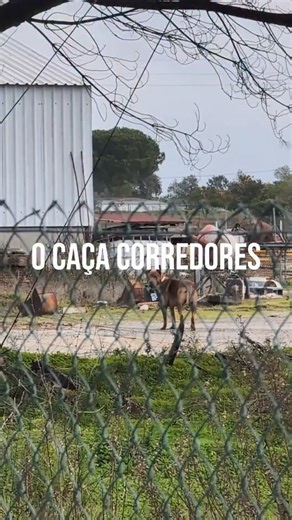 Hugo Barreto | Running & Tech on Instagram: "Vou precisar de um destes é num dia de séries... Já te aconteceu?"