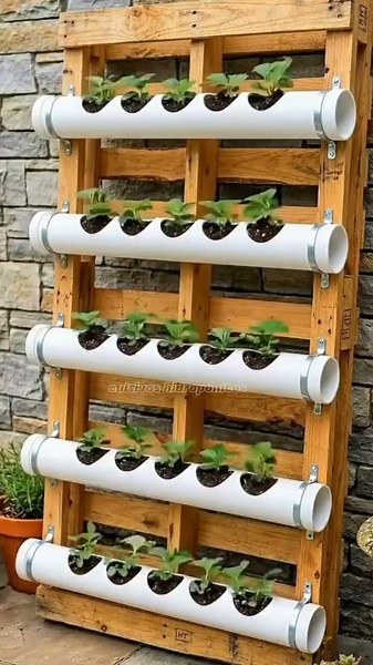 Learn to grow your own food at home 🥦🥬 #hydroponics
