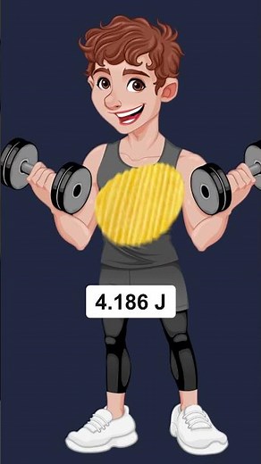 🥟How Many Calories are in Your Favorite Chips?🍪| Fun Facts for Kids! | Kids videos👧🏼