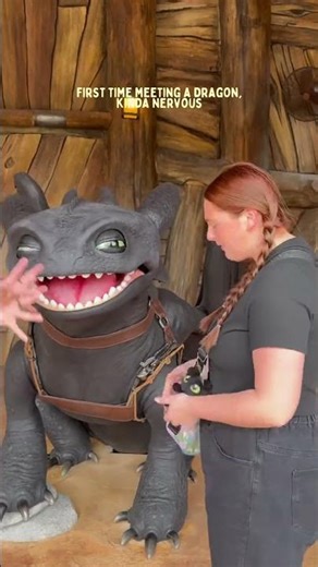 highlight of epic universe… meeting toothless 🥹🐉✨