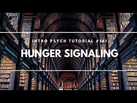 Hunger Signaling (Intro Psych Tutorial #161)