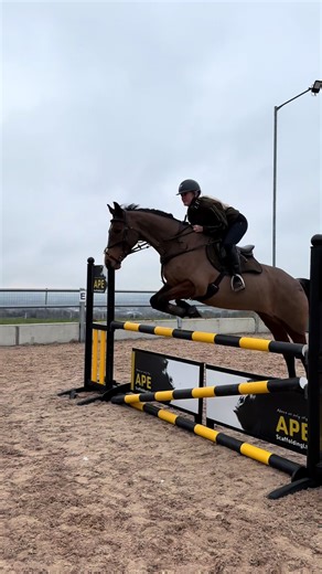 Feeling ready for our first comp of 2026 after a fab arena hire today 😮‍💨 #showjumping #irishsportshorse #showjumper #fyp #horsesoftiktoktok
