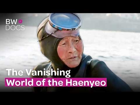 The Real-Life Mermaids of South Korea: Dives at Age 80!