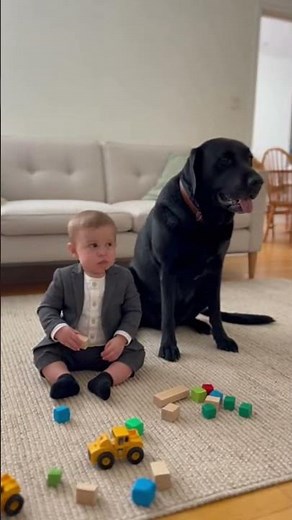 Baby Boss Gets Angry When Mom Calls Him to Eat 😤🍽️ | Dog Laughs at Him 🐶