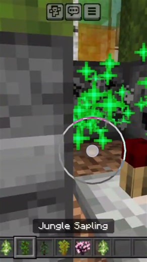 Minecraft Bedrock. Tree farm 6 type.