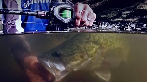 9.9K views · 185 reactions | CHRONARCH MGL View the range HERE >>> www.shimanofish.com.au Ultra-lightweight and superior performance is the best way to describe the new freshwater Chronarch MGL series. Featuring a Magnumlite Spool, Micromodule, XShip, New SVS and more.. | SHIMANO Australia Fishing | Facebook