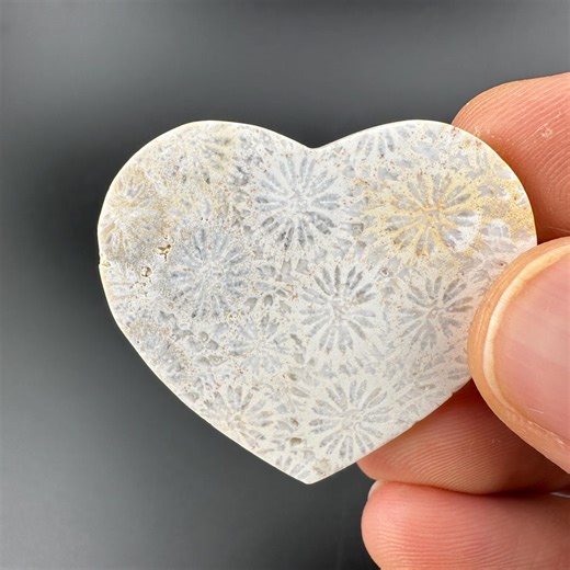 Fossilized Coral Heart Rock – Handmade Stone Gift (1.65 Inch) - Etsy