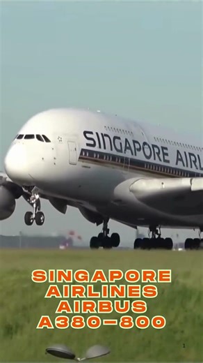 World’s Largest Passenger Jet – Singapore Airlines A380-800 #airbusa400m #aviation #b787