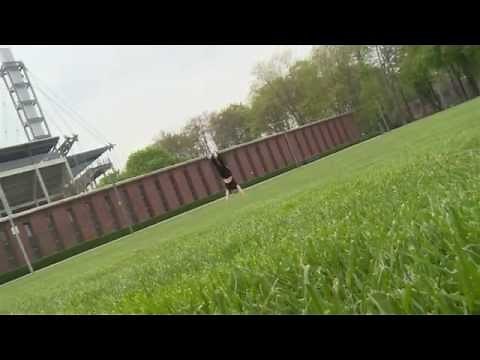 Flick-Flack: so geht´s (Tutorial)