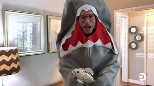 15K views · 305 reactions | How clean is your cove? #SharkWeekEND | Shark Week | Facebook