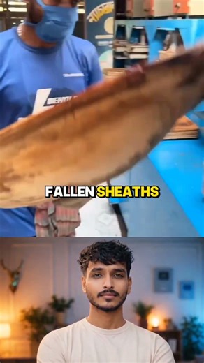 Betel nut shell to Tray Making #shots #wood #woodworking #storytime #facts #experiment #woodscraft