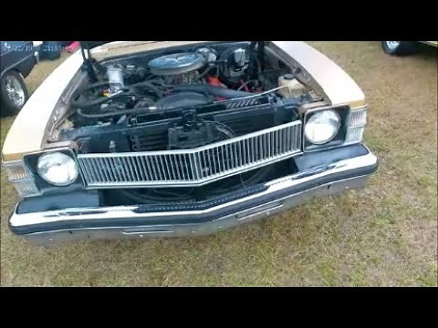 1977 Buick Skylark Coupe GS Stage 1 Ed77GoldSumterFG1206205576