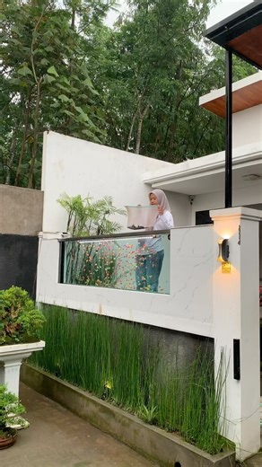 NUR KOLAM _ JAWA TIMUR on Instagram: "Ikan apa ini?🤔 Informasi Pemesanan Ikan Hias Hubungi Admin Mba Ivaa 0823‑3669‑5892 📍Alamat produksi NUR KOLAM : Jl. Manggala RT/RW 45/09 Sananrejo, Turen-Malang - JATIM #nurkolam #kolamminimalis #aquarium #kolambonsai #bonsaipenjing"