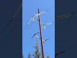 Ken's Hike To The Q In Quincy, CA 8-4-25