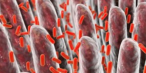 There's a War Raging Inside Your Gut