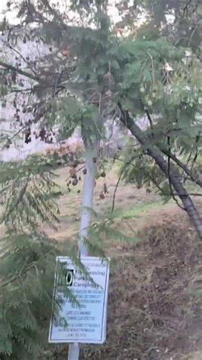 Angel's Flight Railway Ride