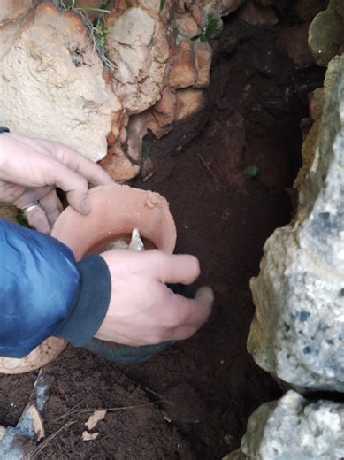 Discovering Hidden Treasures with Metal Detectors