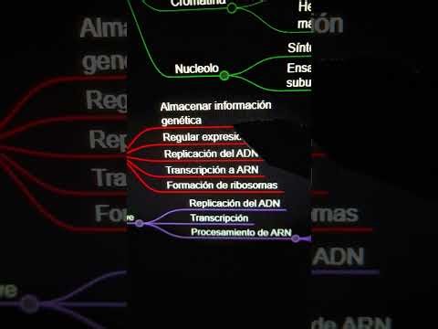 el nucleo - biologia #biology