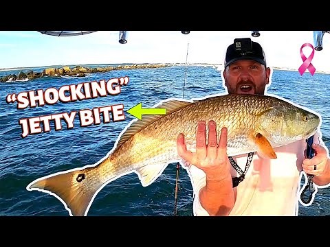 How To Slay Jetty Monsters **INSANE BITE** Ponce Inlet Fishing!