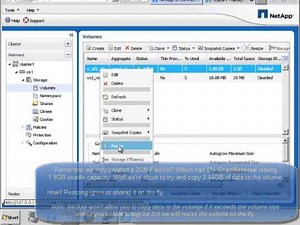 NetApp Core features (Clustered ONTAP)
