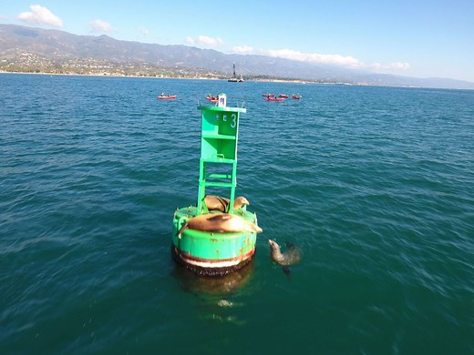 Santa Barbara Guided Kayak Tours - Paddle Sports Center