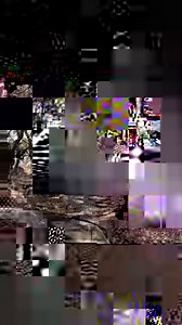 La fauna en coahuila #Castor🦫 #RíoCandela💦 #Coahuila 🎥 Diana Robles | Vive Turismo Mx