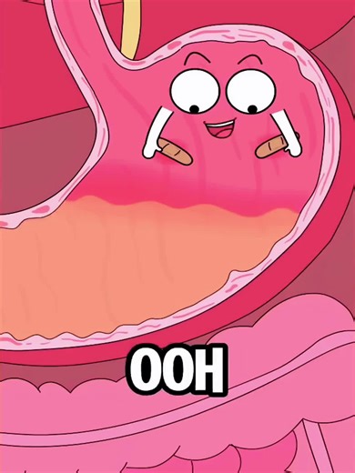 Hilarious Science Cartoons That Will Blow Your Mind #animation #funny #video