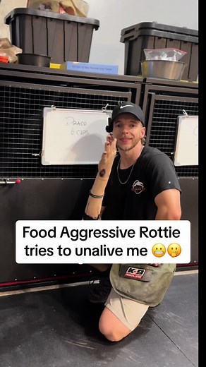 Fixing Food Aggression in Rottweilers: Counter Conditioning Tips