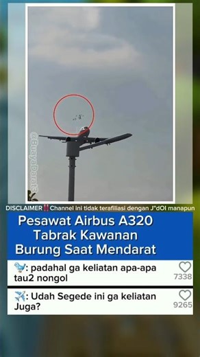 ✈️: Udah Segede ini ga keliatan Juga?