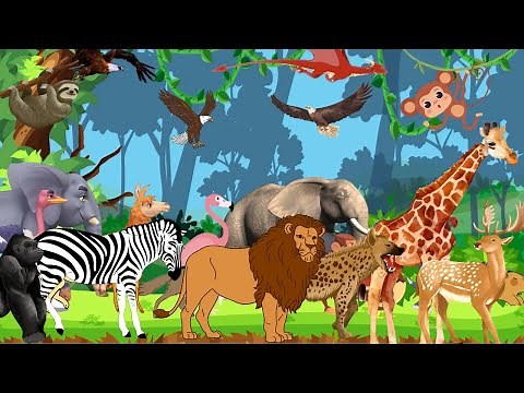 ABC Safari Animal Sounds | Learn Alphabet with Wild Animals | Nursery Rhymes for Kids 28TH825