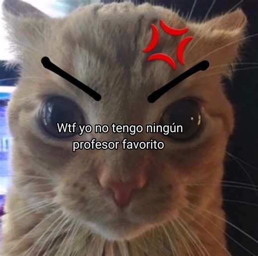 👾 #parati #marucha._2 #fyp #profesoradecomunicacion #💂‍♀️ #._. #🧍