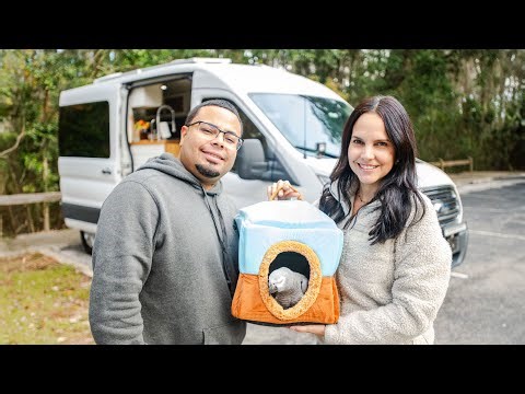 DIY Van Conversion: How We Built Our Dream Home in a Ford Transit