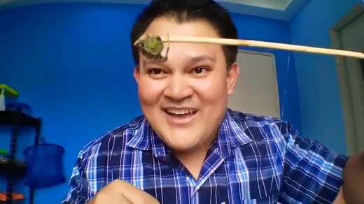 BAKA-BAKA vs GENSAN Jumbo Spider.. Matigas na Gagamba. Loaded Spider Fight. Nameless Load.