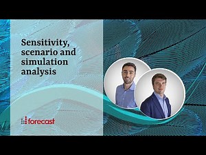 Sensitivity, scenario and simulation analysis