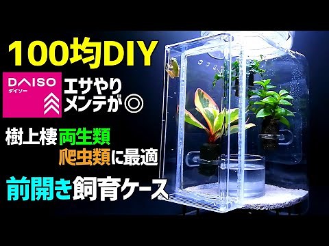 樹上棲の両生類・爬虫類に最適な【前開き飼育ケース】の作り方 100均DIY / カエル・ヤモリ・昆虫 飼育ケースをダイソーアイテムで自作 /Tree Frog SETUP