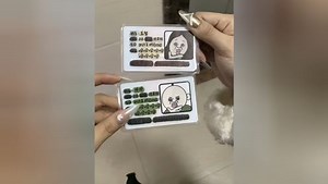 解锁新身份邦邦和玉智
