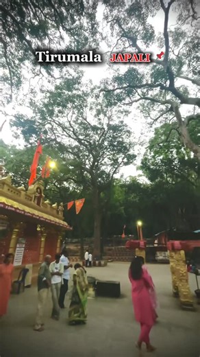 travel_with_ekko on Instagram: "Comment your experience 🫰🏻❤️‍🔥 Sri Vari series part : 2 #travel #nature #friendforever #fitnessjourney #vizag #trendingsongs #trendingsongs #viralvideos #vizagcity #tirumala #japali #tirumala🙏 #train #monkey #water #tree"