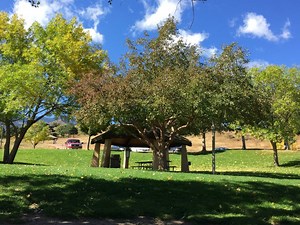 Facility Reservations